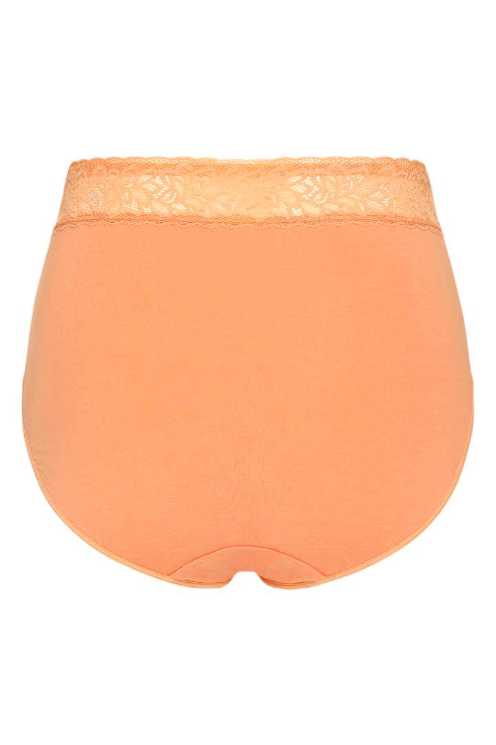 PT0025 - Cotton Brief with Lace Wasitband