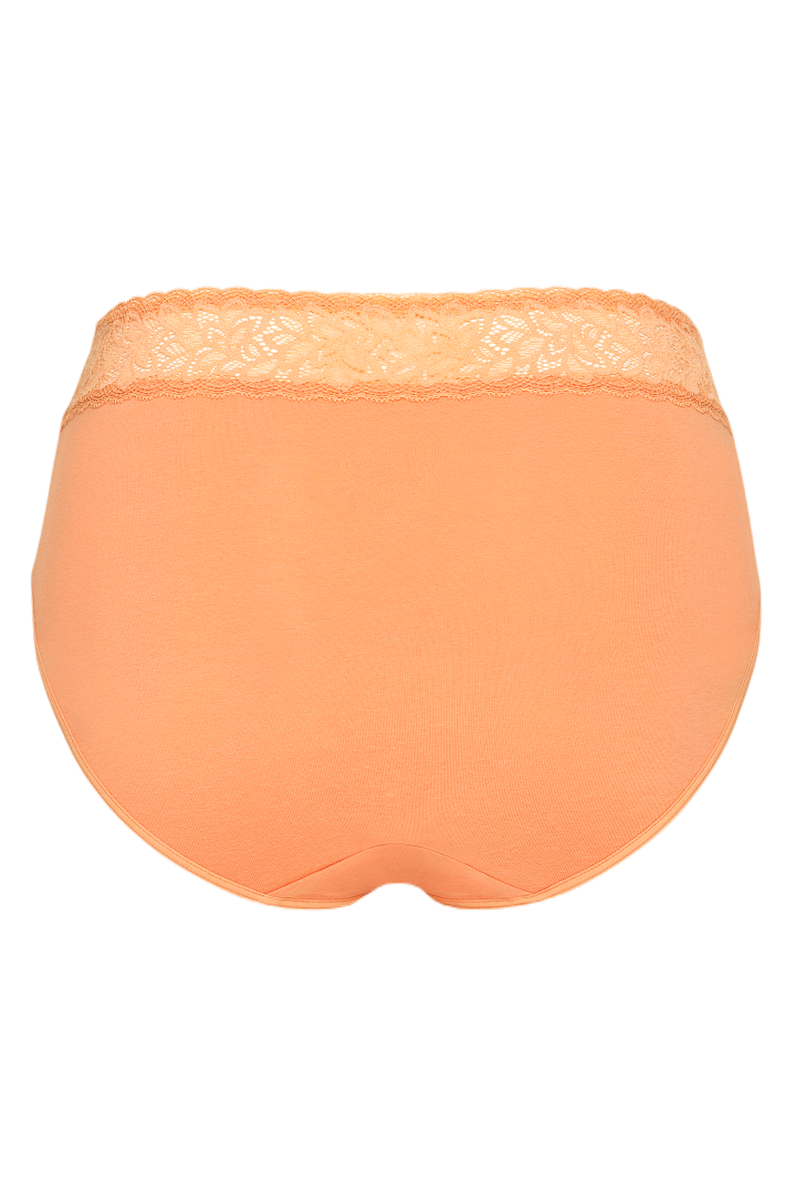 PT0026 - Cotton Hipster with Lace Wasitband
