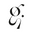 Gemsli Intimates: Premium Women's Lingerie & Shapewear logo